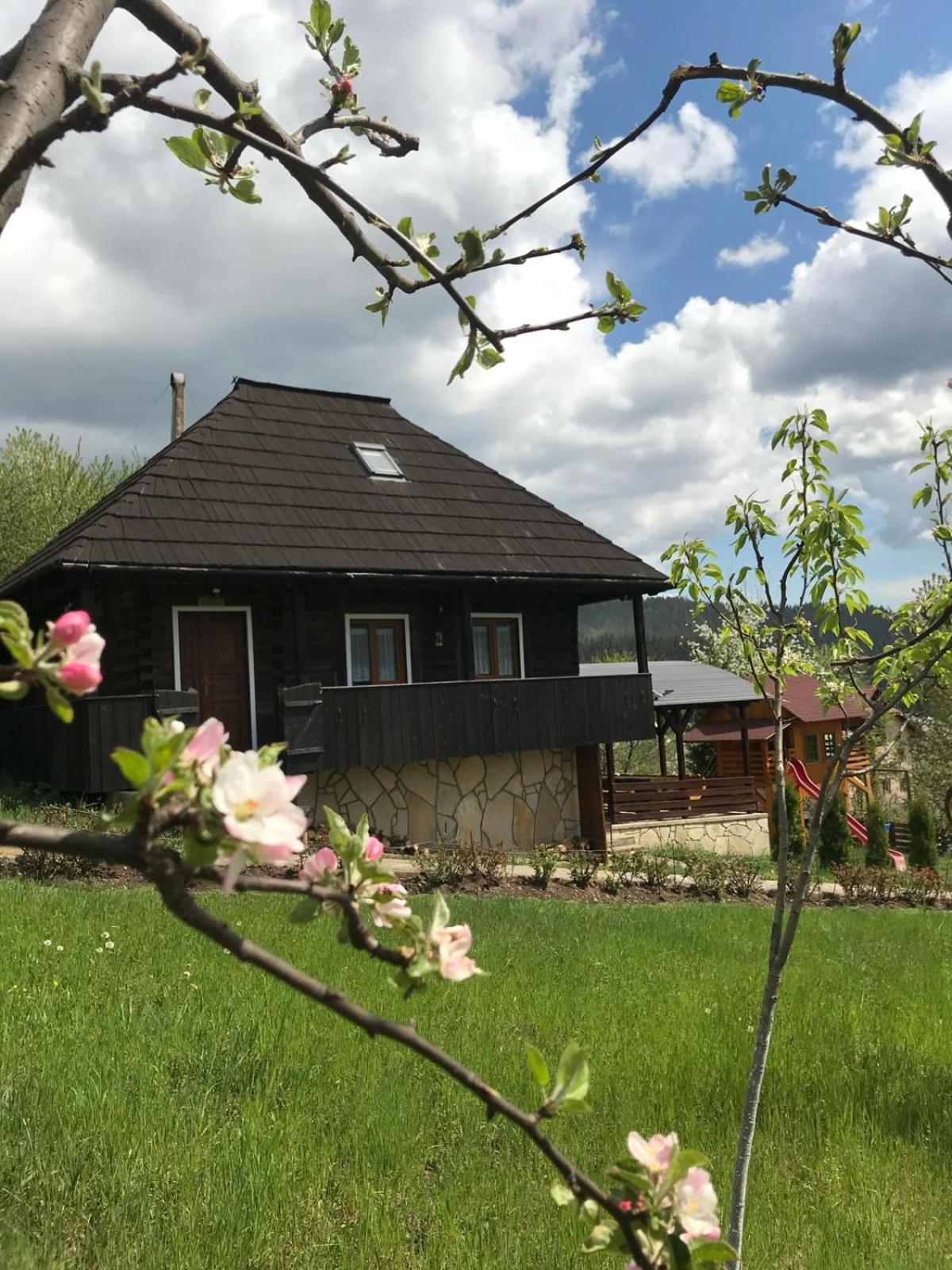 Pensiunea Boculeț Gura Humorului Exterior foto