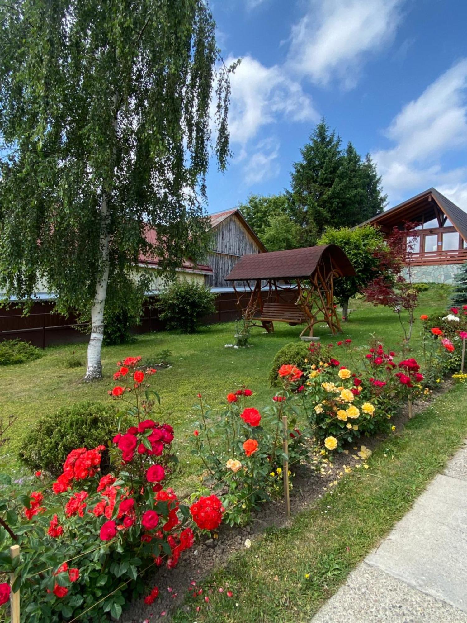 Pensiunea Boculeț Gura Humorului Exterior foto